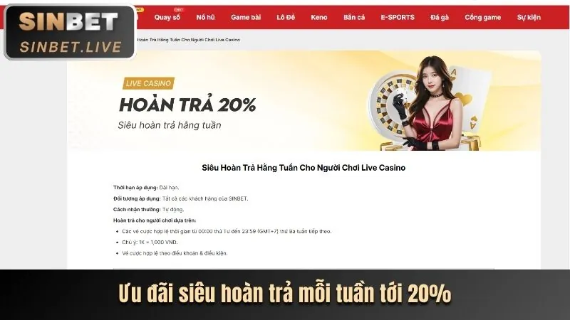 Hoàn trả hàng ngày 1xBet
